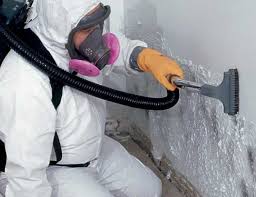 Best Airborne Mold Testing in USA